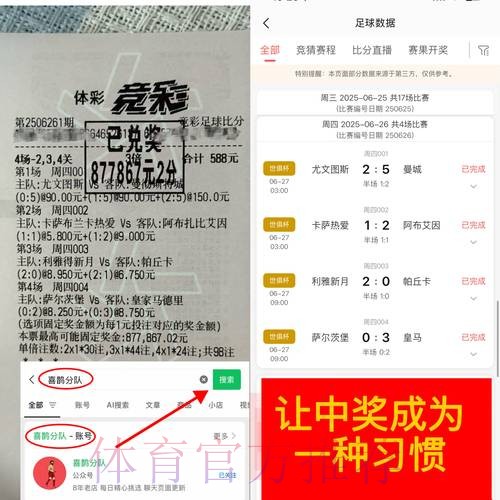 世界杯外围竞猜：官方平台选择的重要性解析