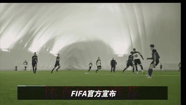 2026世界杯买球最新动态分析