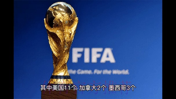 2026世界杯买球最新动态分析